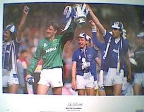 Neville Southall Signed A2 Photo