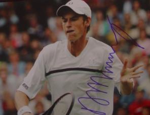 Andy Murray future Wimbledon champion?