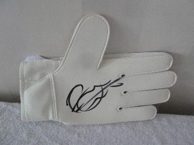 Robert Green signed glove