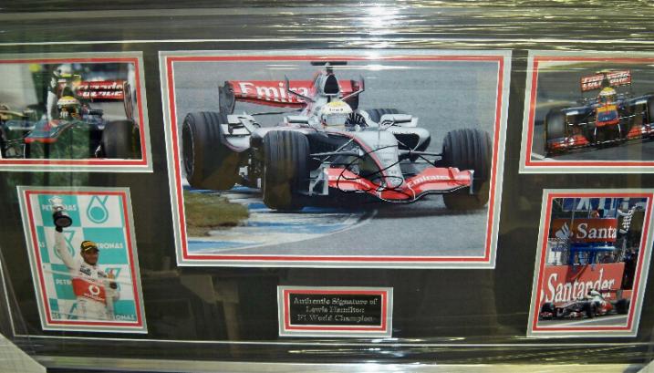 zebra lewis hamilton signed image