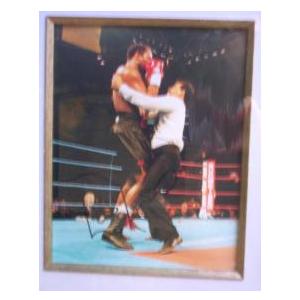 Lennox Lewis 2