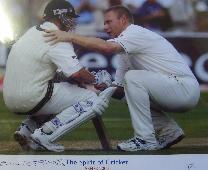 Freddie flintoff signed Spirit of the Ashes  print