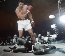 Cassius Clay stands above Sonny Liston  glossy photograph