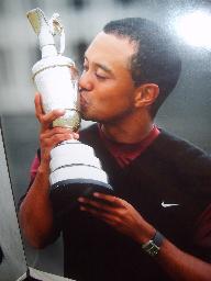 Tiger Woods  glossy photograph