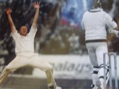 Flintoff celebrates  glossy photograph