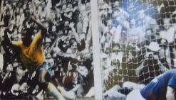 Pele celebrates  glossy photograph